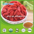 Alibaba Chinese factory supply hot sale goji berry extract /wolfberry extract in stock